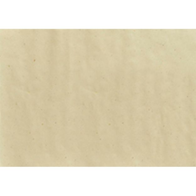 Immagine di articolo vecchioTOVAGLIETTA 30X40 SABBIA Confezione 250pz