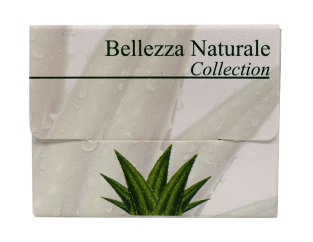 Immagine di BELLEZZA NATURALE - FAZZOLETTI 5pz POCKET Cartone 500pz