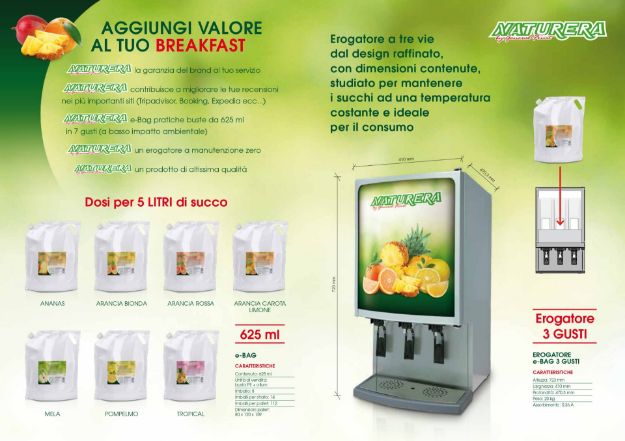 Immagine di SUCCO DI FRUTTA CONCENTRATO ANANAS Ml 625 Ct 6 buste