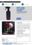 Immagine di NEFEL SCENT BLACKBERRY&PEONY CONCENTRATED DEODORANT Spray 480ml