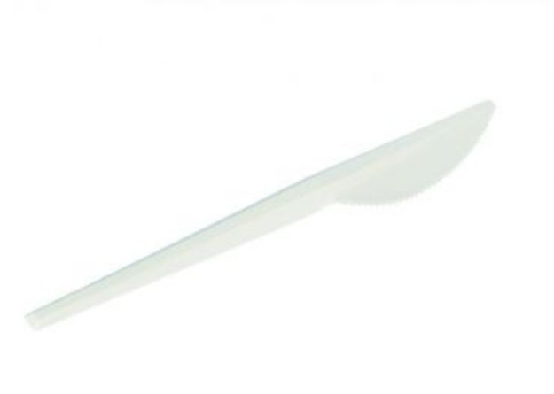 Immagine di COLTELLO BIO-ECO C-PLA cm16,5 conf.50pz